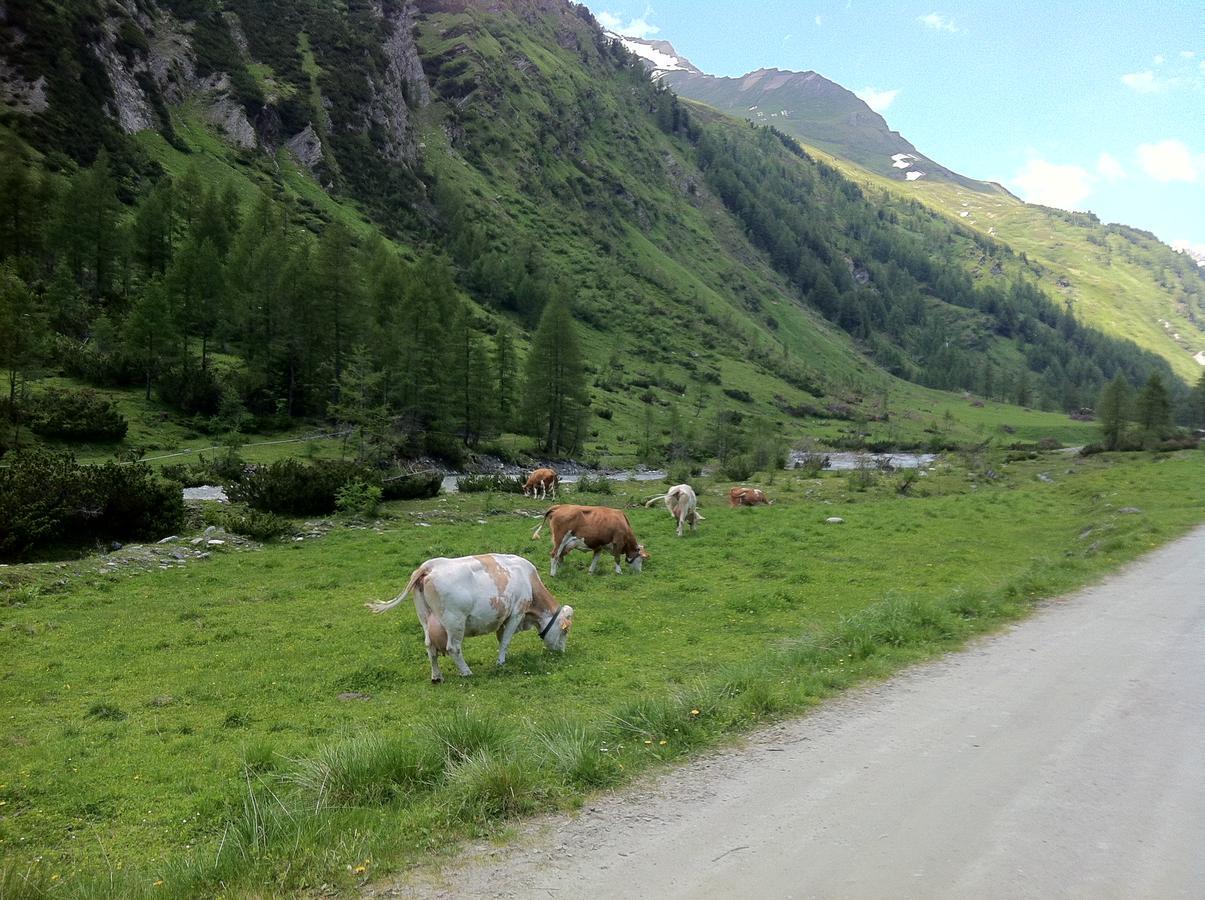 Scol Sporthotel Grossglockner Kals am Grossglockner Bagian luar foto